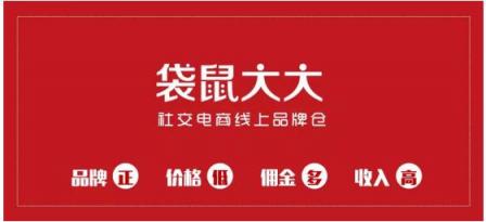 袋鼠大大：以優(yōu)質(zhì)取勝，切入社交電商新藍(lán)海