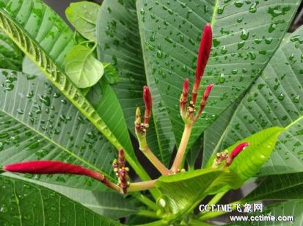 華為nova 3i評測：顏值高，拍照好的手機(jī)在這里!