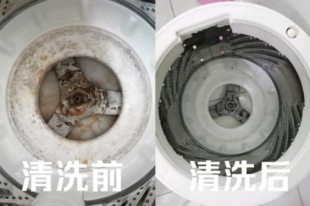 皮膚病是這么來(lái)的！洗衣機(jī)五年暗藏污垢1公斤