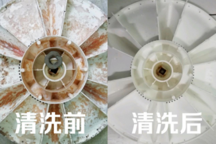 皮膚病是這么來(lái)的！洗衣機(jī)五年暗藏污垢1公斤