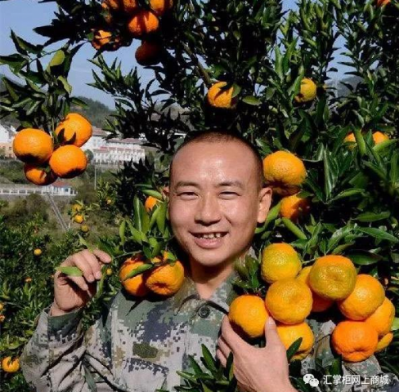 銷售200億，匯通達(dá)深化農(nóng)村服務(wù)的“互聯(lián)網(wǎng)+智慧”賦能