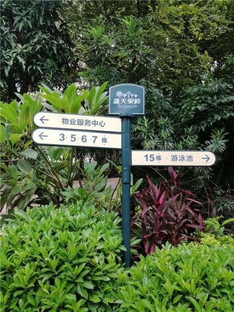 AI智能全方位助陣，拍照還會智能構(gòu)圖，充滿智慧的麥芒7上手體驗