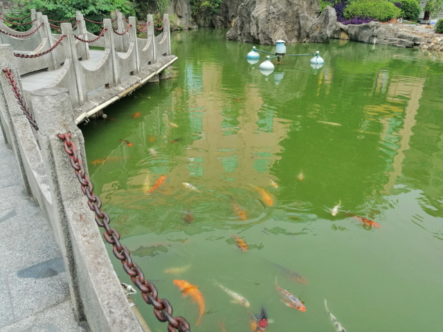 顏值與性能并存，還有AI四攝，華為麥芒7來(lái)了