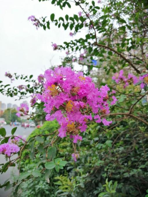 華為麥芒7首發(fā)上手評(píng)測(cè)：顏值頗為驚喜！更有驚人的Al四攝