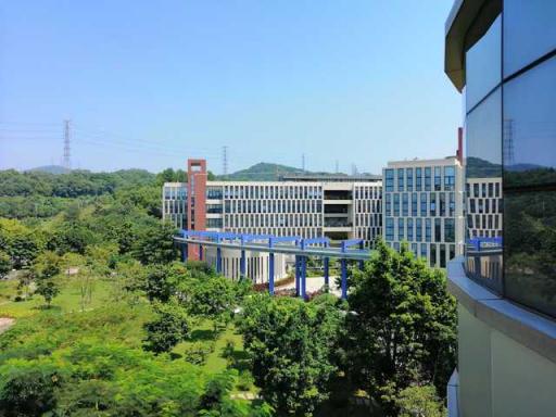 華為麥芒7評測：AI四攝，記錄年輕人的精彩生活