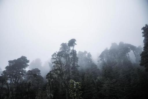 波濤？山路？風(fēng)雨兼程，麥芒無懼挑戰(zhàn)