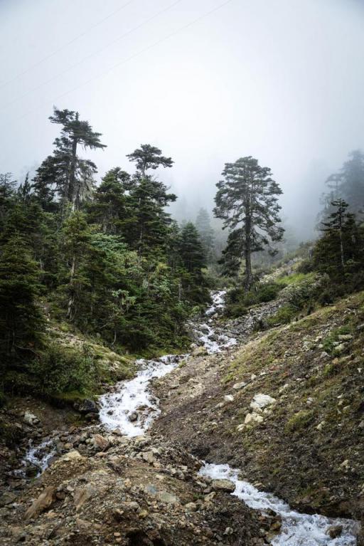 波濤？山路？風(fēng)雨兼程，麥芒無懼挑戰(zhàn)