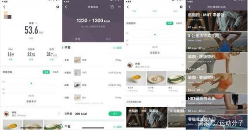 Keep 體脂秤肉身評測：顏值在線，體脂率等數(shù)據(jù)是否精準？