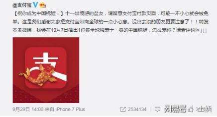 中國(guó)錦鯉“信小呆”是內(nèi)定？鬧烏龍是因?yàn)椴涣私膺@些域名常識(shí)