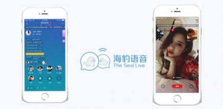 海豹聊天：社交直播產(chǎn)業(yè)的發(fā)展要瞄準(zhǔn)95后、00后的需求