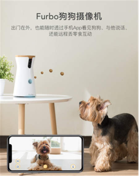 北美暢銷的養(yǎng)狗神器Furbo正式入駐國內(nèi)，開啟智能養(yǎng)寵新時代