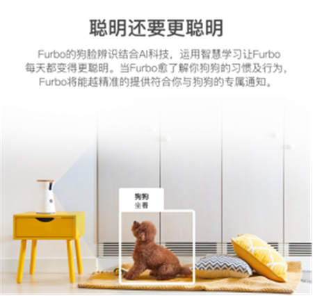 北美暢銷的養(yǎng)狗神器Furbo正式入駐國內(nèi)，開啟智能養(yǎng)寵新時代