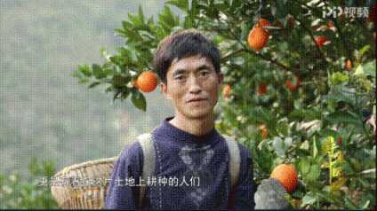 改革開(kāi)放40周年，蘇寧成“鄉(xiāng)村振興”企業(yè)代言人