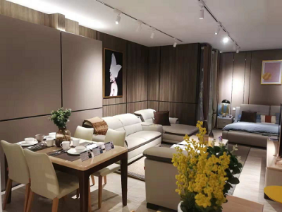 蘇寧智慧零售業(yè)態(tài)再升級，構筑品質消費增長新公路