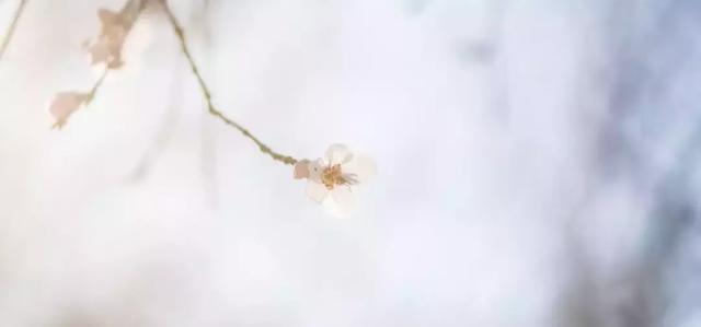無(wú)人便利店未來(lái)之路：天下萬(wàn)物生于有，有于無(wú)，有無(wú)相生