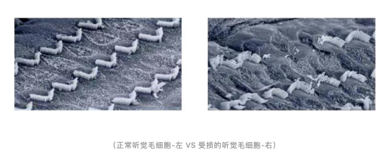 為了用戶的健康，F(xiàn)IIL有話要講