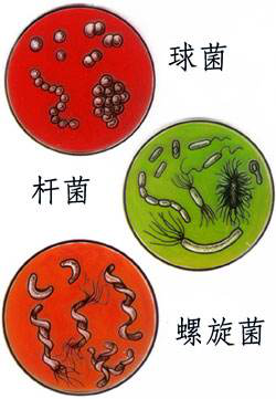 一次洗凈，從不拖泥帶水！華帝洗消烘存一體機(jī)H5洗得安心用的放心