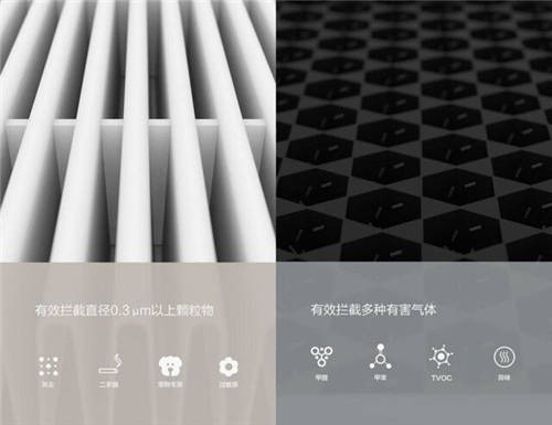 無(wú)憂呼吸隱患 IAM助力擁抱潔凈春天