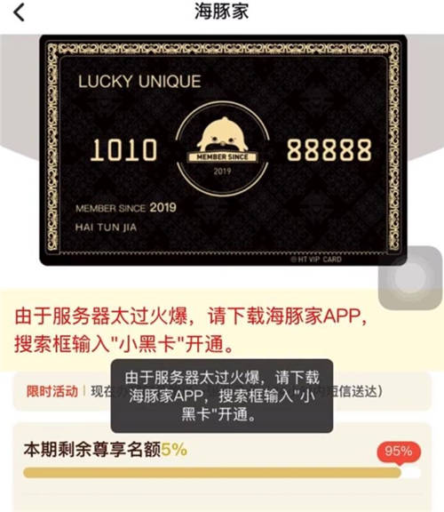 品牌C位計(jì)劃推出，首創(chuàng)海豚家小黑卡吸睛亮相