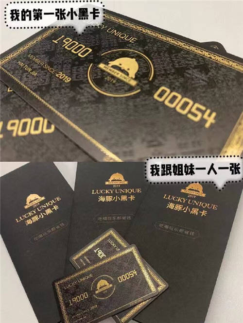 品牌C位計(jì)劃推出，首創(chuàng)海豚家小黑卡吸睛亮相
