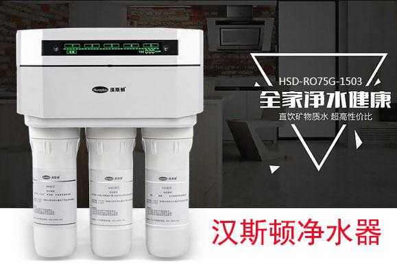 凈水器哪個牌子好？看懂這些少走彎路