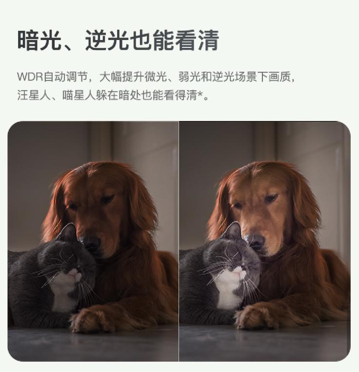 家長復工，沒人看孩子？360智能攝像機云臺AI版標準款一招搞定