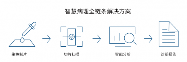視見科技完成新一輪數(shù)千萬融資，產(chǎn)業(yè)資本助力AI病理加速落地