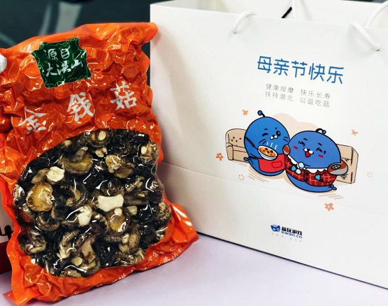 戰(zhàn)疫助農(nóng)，益玩游戲母親節(jié)為湖北拼單！