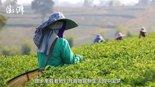 致力打贏脫貧攻堅(jiān)戰(zhàn)，長(zhǎng)城皮卡攜手澎湃新聞啟動(dòng)“物產(chǎn)中國(guó)”