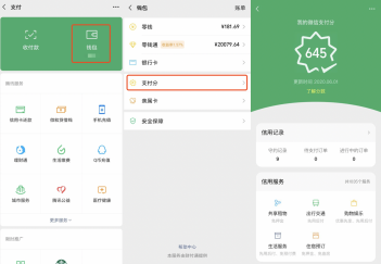 微信支付分查詢功能開(kāi)放，已支持超千種便捷服務(wù)