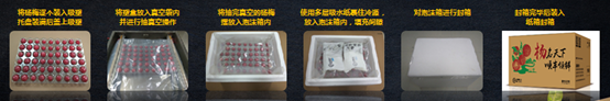助力城鄉(xiāng)農(nóng)業(yè)特色經(jīng)濟(jì)走上新臺(tái)階！順豐升級楊梅寄遞行業(yè)解決方案
