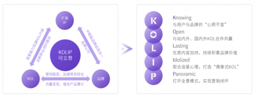 2020 KOL營銷洞察報告：可立普模式能否成為KOL營銷神器？