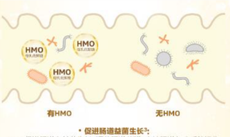 合生元HMO配方奶粉三大強(qiáng)化配方組合，建造更穩(wěn)定的成長壁壘