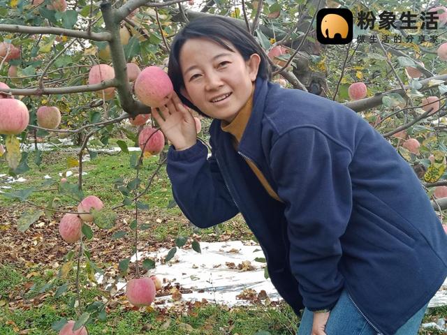 粉象生活助力最美鄉(xiāng)村教師，助農扶貧為禮縣開拓新銷路