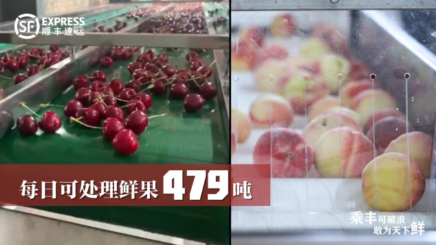 順豐用科技智能領(lǐng)“鮮”起航，看鮮果物流如何乘“豐”破浪？