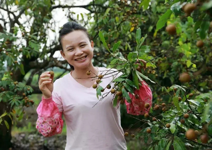西瓜視頻的“現(xiàn)代魯班”阿木爺爺，是如何走紅海內(nèi)外的？