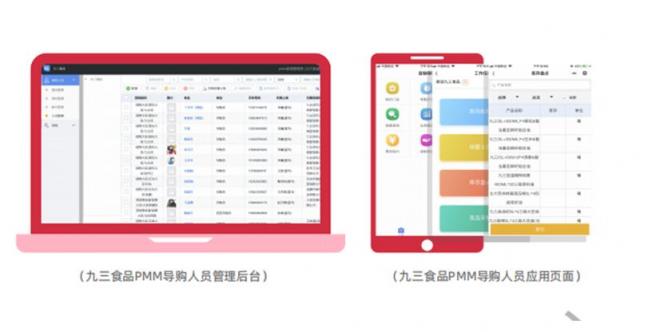 玄訊洞見｜“數(shù)字化”導(dǎo)購大翻身，且看九三食品如何利用數(shù)字化賦能導(dǎo)購管理？