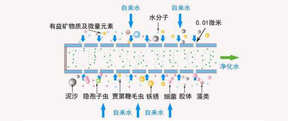 專業(yè)揭秘凈水器哪個(gè)好？品牌＆濾芯才是關(guān)鍵