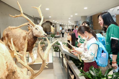 恒隆集團(tuán)慶祝成立60周年，內(nèi)地九城及香港義工活動(dòng)惠及4500人