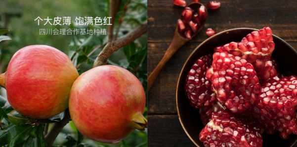 互聯(lián)網(wǎng)新農(nóng)業(yè)，網(wǎng)易嚴選“尋味中國”扶持中國品質農(nóng)貨