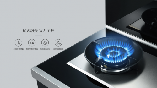 集成灶十大排行榜，集成灶哪個品牌好？優(yōu)質(zhì)品牌推薦！