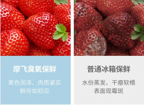 摩飛又出新品了！這款冰箱除味神器必火