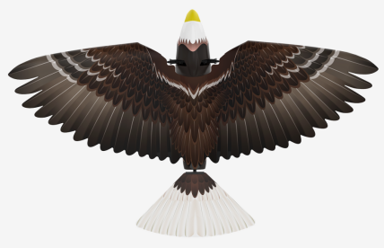 漢王仿生撲翼鳥(niǎo)Go Go Bird1000亮相上海玩博會(huì)，與萌娃共享仿生AI盛宴！