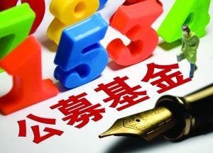 嘉實(shí)基金多只產(chǎn)品凈值翻倍，公募基金長(zhǎng)期賺錢效應(yīng)凸顯