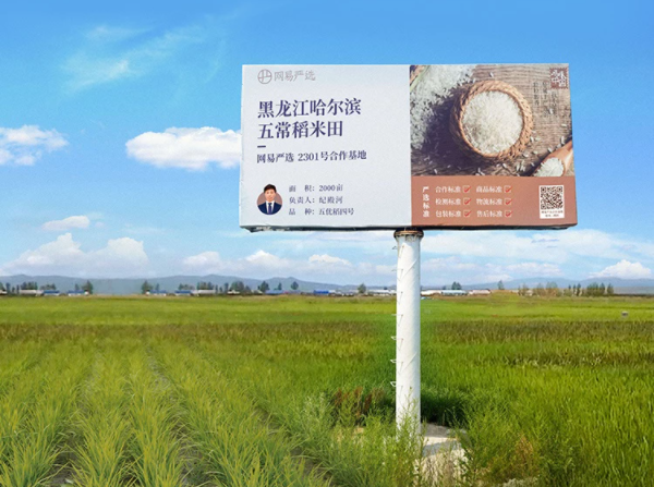 網(wǎng)易嚴(yán)選開售五常有機(jī)稻花香新米，正宗原產(chǎn)地好味，鎖鮮送達(dá)