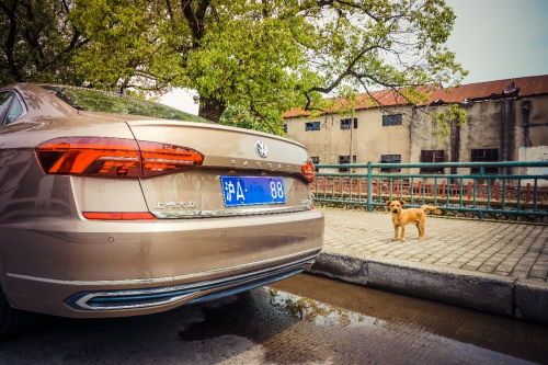 中保研碰撞安全認(rèn)證，提車上汽大眾帕薩特全家都放心