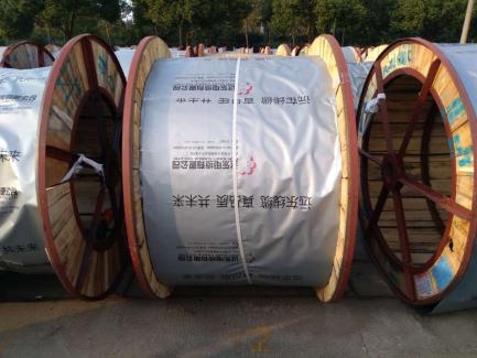 遠(yuǎn)東控股為白鶴助飛，白鶴灘水電站中的遠(yuǎn)東力量