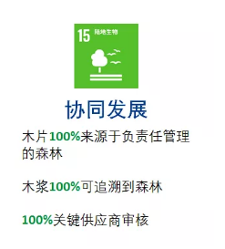 亞太森博發(fā)布2030可持續(xù)發(fā)展目標(biāo)，未來(lái)十年堅(jiān)持與綠色同行