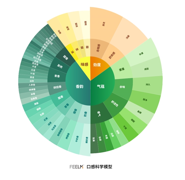 穿越口感秘境，F(xiàn)EELM打造口感科學(xué)體系