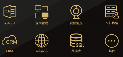 沒有公網(wǎng)IP，遠(yuǎn)程訪問ERP/NAS/數(shù)據(jù)庫，助力疫情防控遠(yuǎn)程辦公！